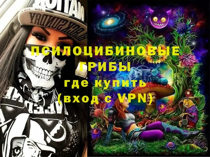 Псилоцибиновые грибы Magic Shrooms  kraken ТОР  Апшеронск 